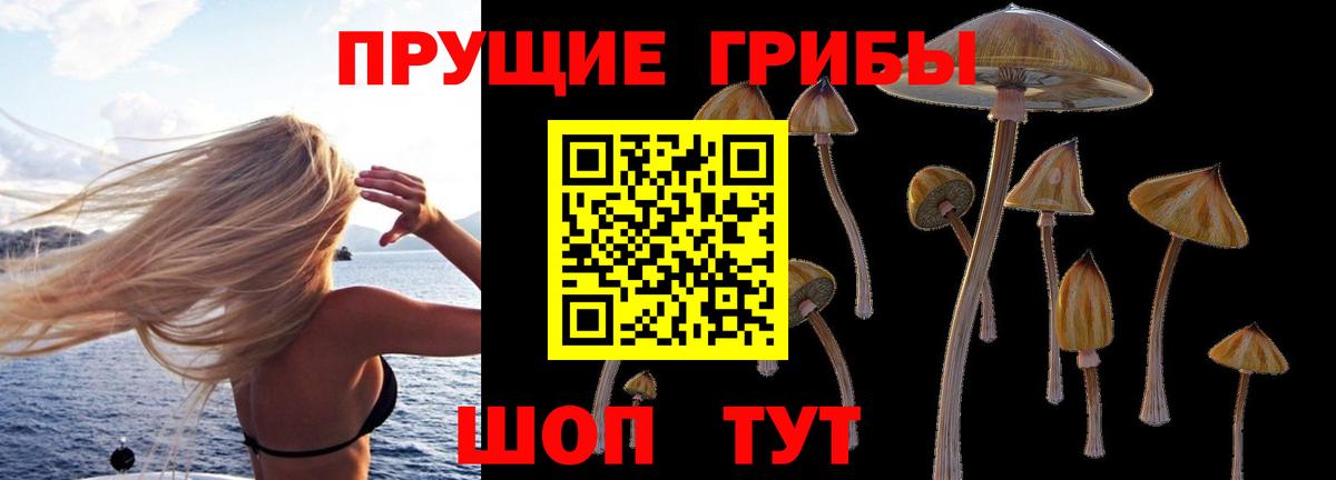 Семилуки  Псилоцибиновые грибы GOLDEN TEACHER  Вход с VPN 